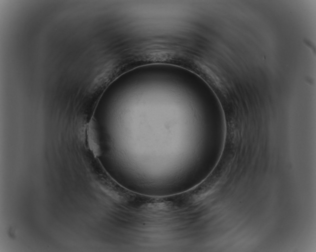 X0000093250307200709261725