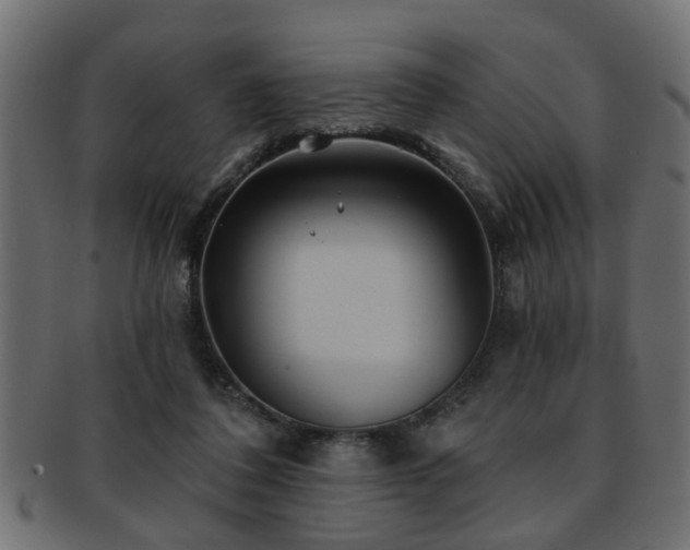 X0000093250308200709261724