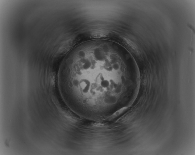 X0000093250315200709261724