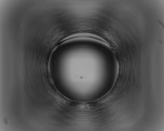 X0000093250317200709261724