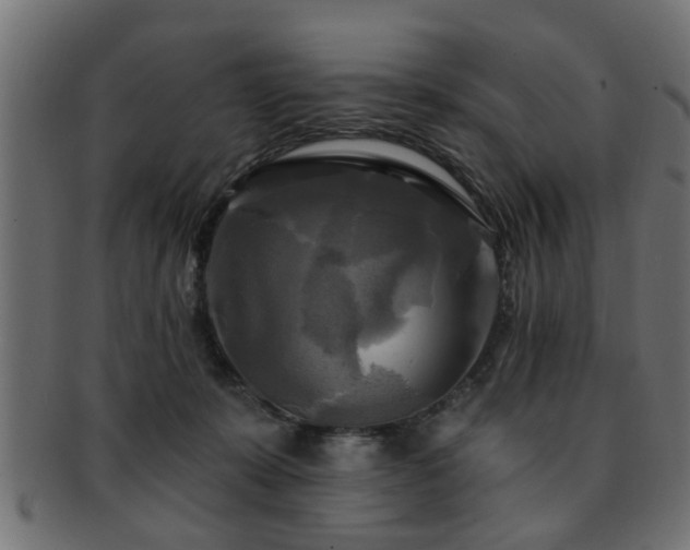 X0000093250319200709261724