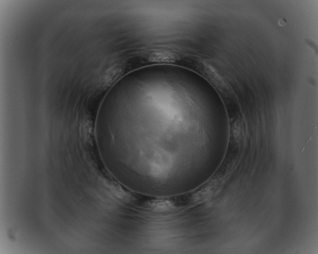 X0000093250322200709261724