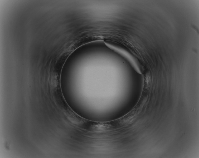 X0000093250323200709261724