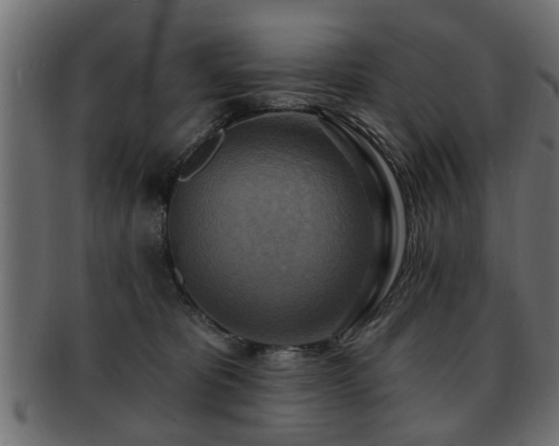 X0000093250325200709261724