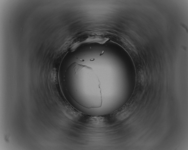X0000093250328200709261724
