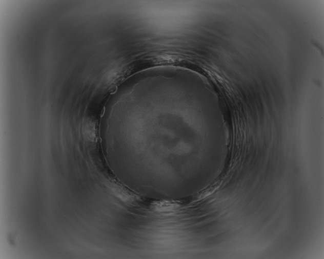 X0000093250331200709261724