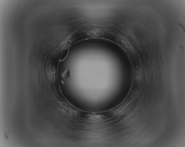 X0000093250332200709261724