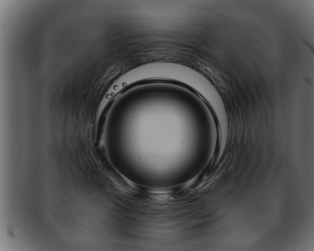 X0000093250333200709261724