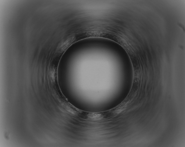 X0000093250334200709261724