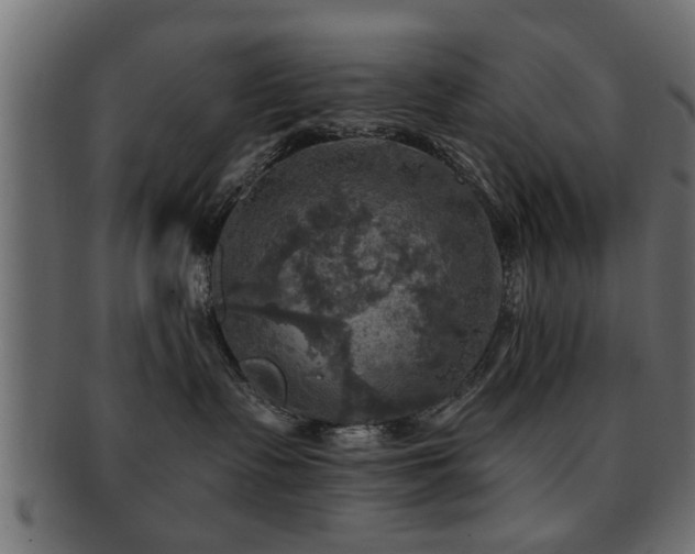 X0000093250335200709261724
