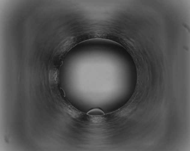 X0000093250336200709261724