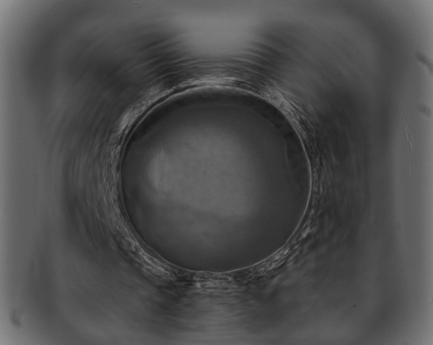 X0000093250337200709261724