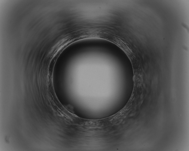 X0000093250338200709261724