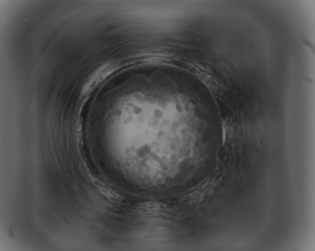 X0000093250339200709261724