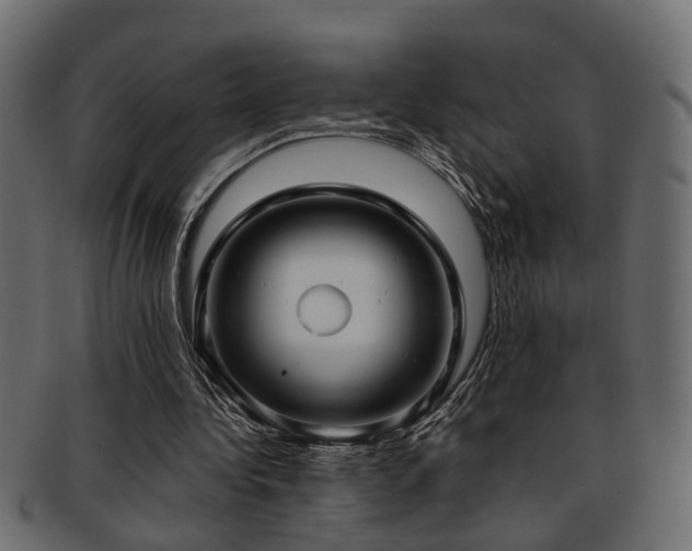 X0000093250340200709261724