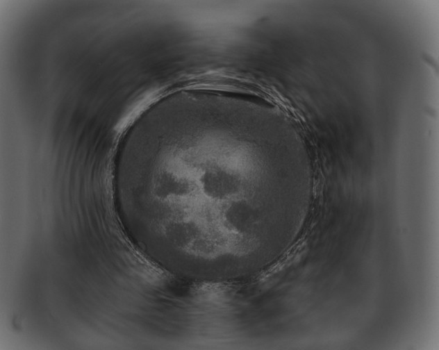 X0000093250341200709261724