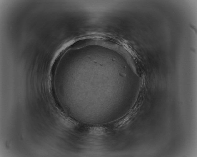 X0000093250342200709261724
