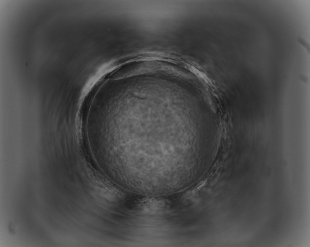 X0000093250343200709261724