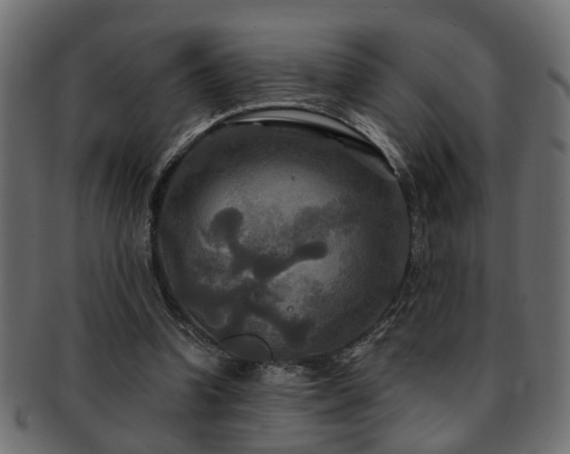 X0000093250346200709261724