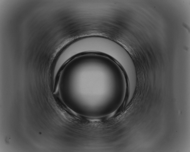 X0000093250350200709261724