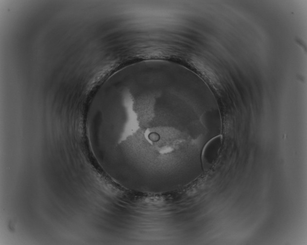X0000093250353200709261724