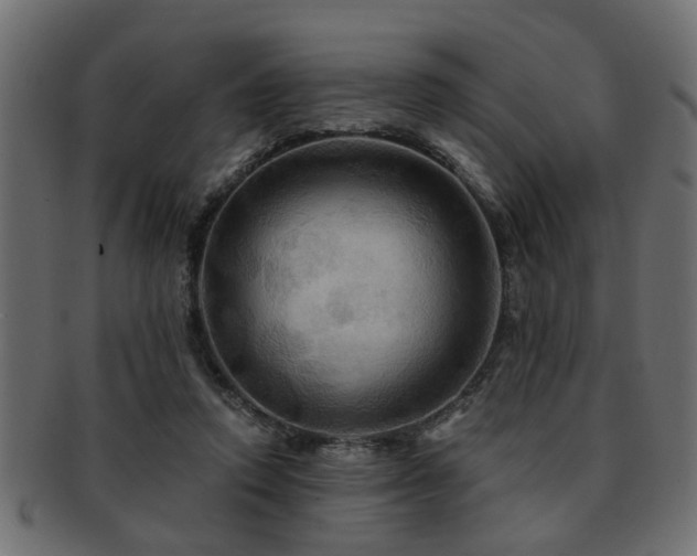 X0000093250354200709261724