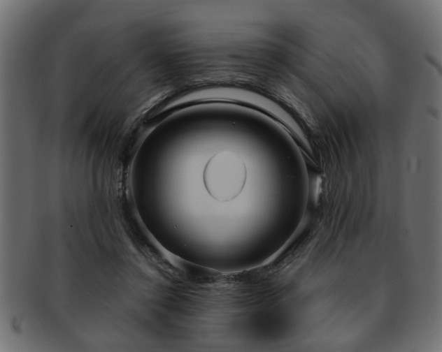 X0000093250356200709261724