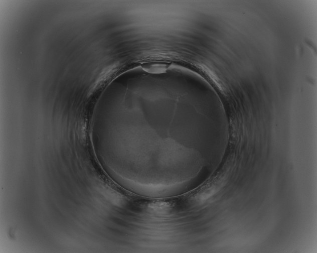 X0000093250357200709261724