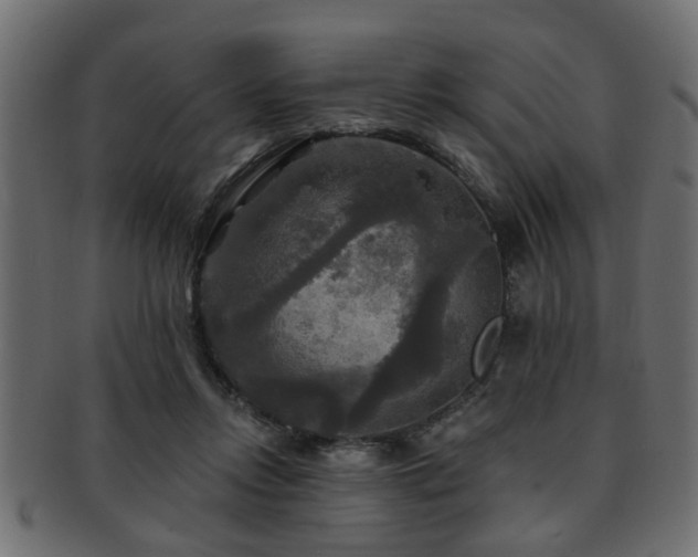 X0000093250358200709261724