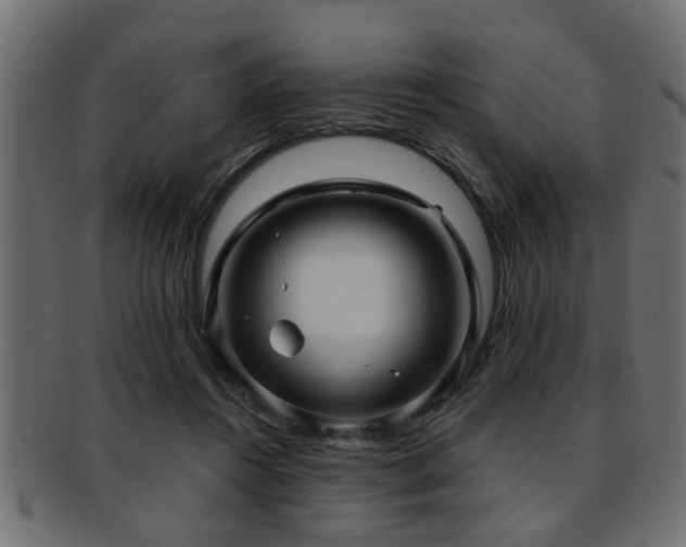 X0000093250360200709261724