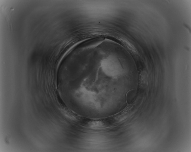 X0000093250361200709261724