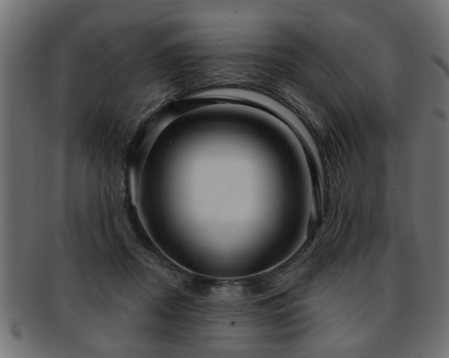 X0000093250362200709261724