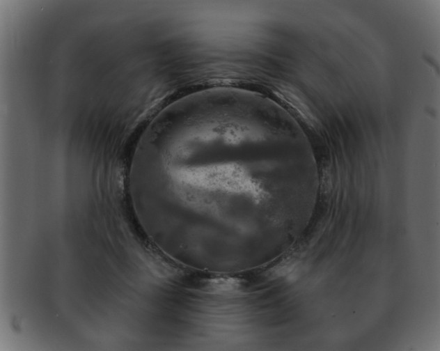 X0000093250363200709261724