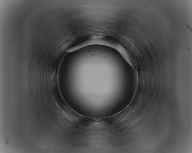X0000093250364200709261724