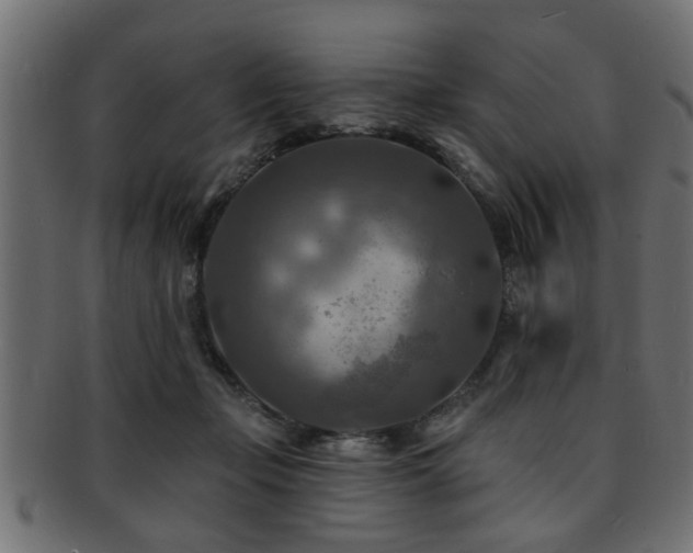 X0000093250365200709261724