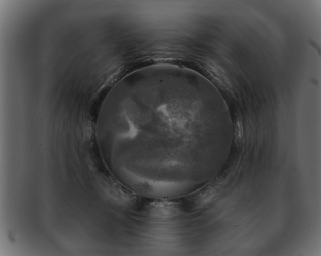 X0000093250367200709261724