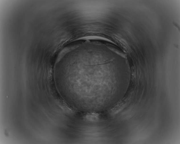 X0000093250369200709261724