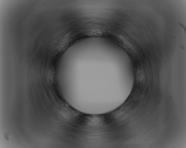 X0000093250370200709261724