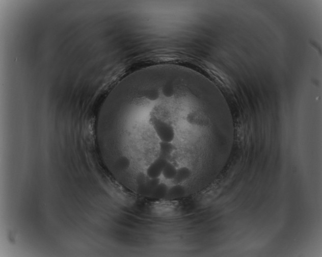 X0000093250373200709261724