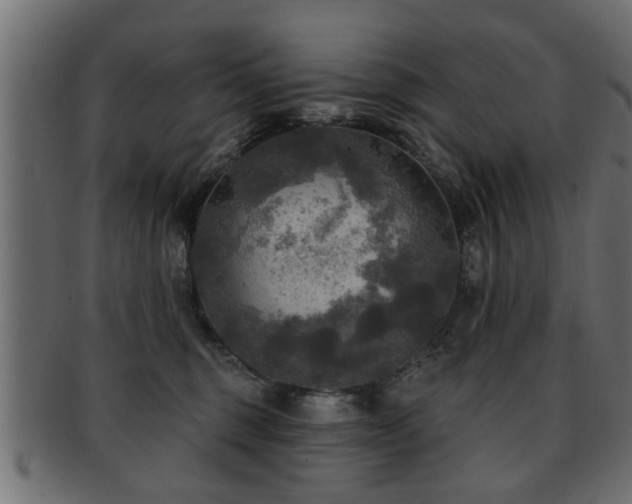 X0000093250375200709261724