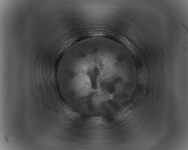 X0000093250377200709261724