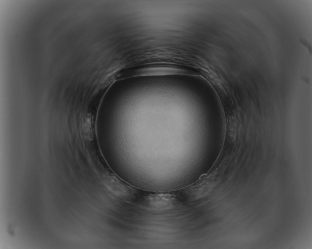 X0000093250378200709261724