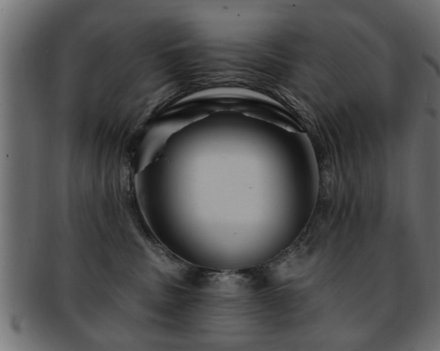 X0000093250379200709261724