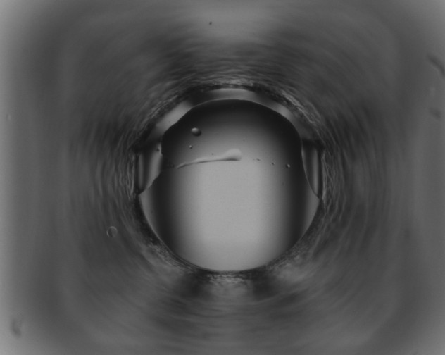 X0000093250380200709261724