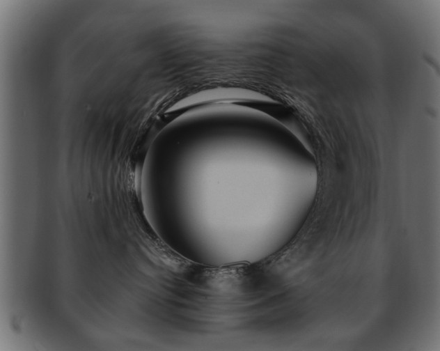 X0000093250384200709261724