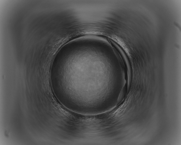 X0000093250385200709261724