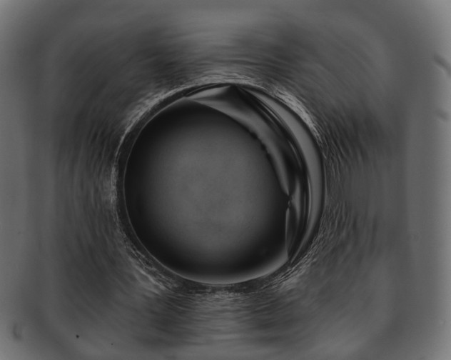 X0000093250387200709261724