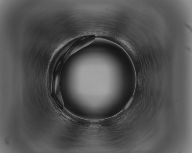 X0000093250388200709261724