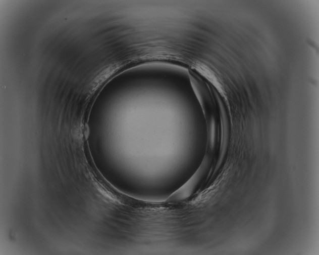 X0000093250389200709261724