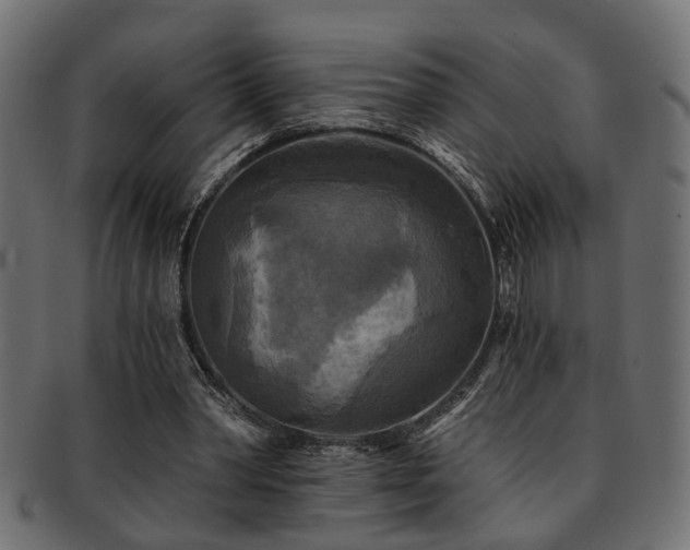 X0000093250390200709261724